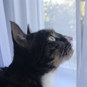 Meet your Posher, Helenna